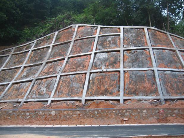 抗浮錨桿 抗浮錨桿